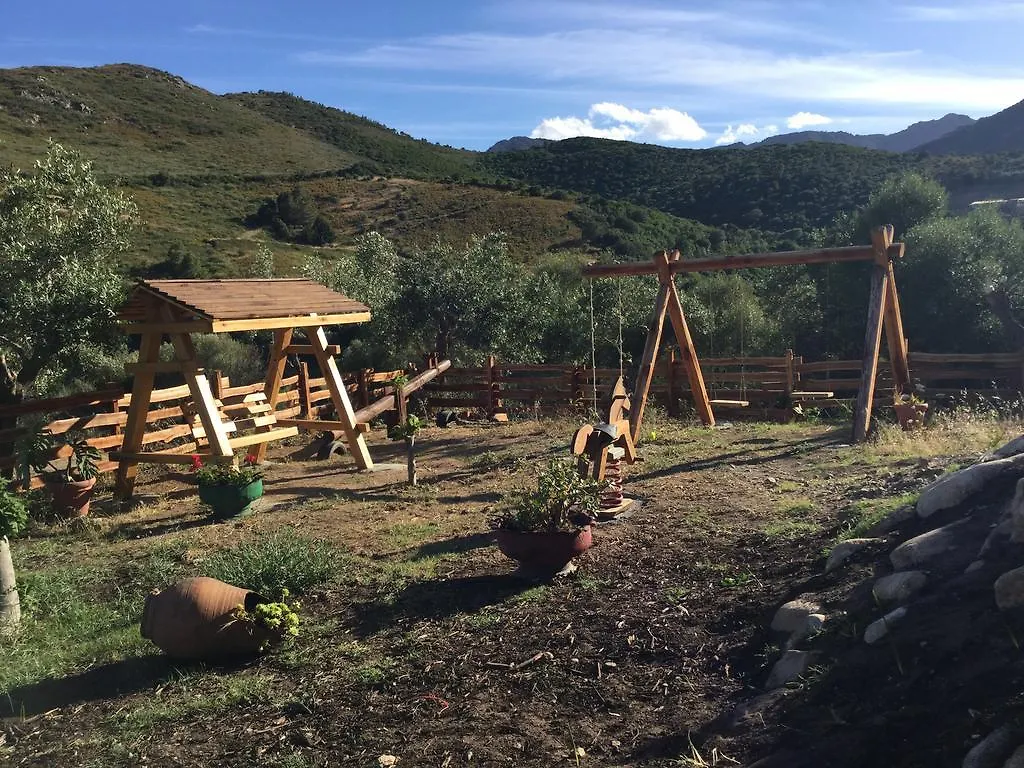 Il Giardino Di Daniela Bed & Breakfast San Teodoro Italy